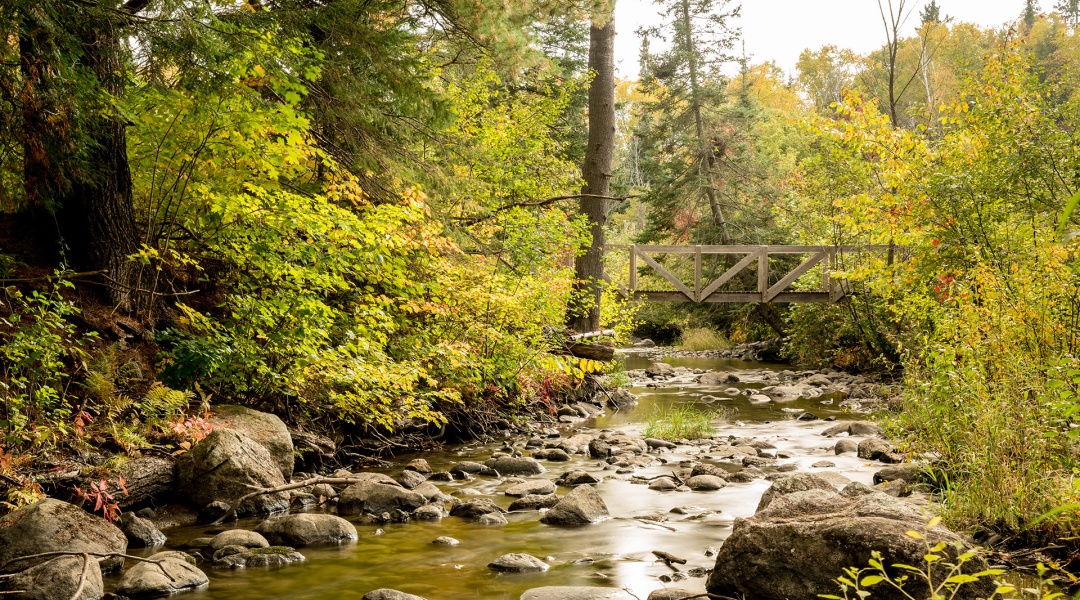 Creek with bridge