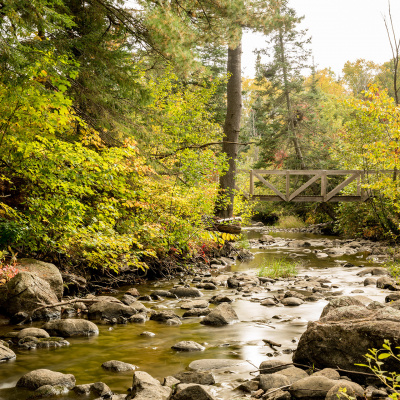 Creek with bridge